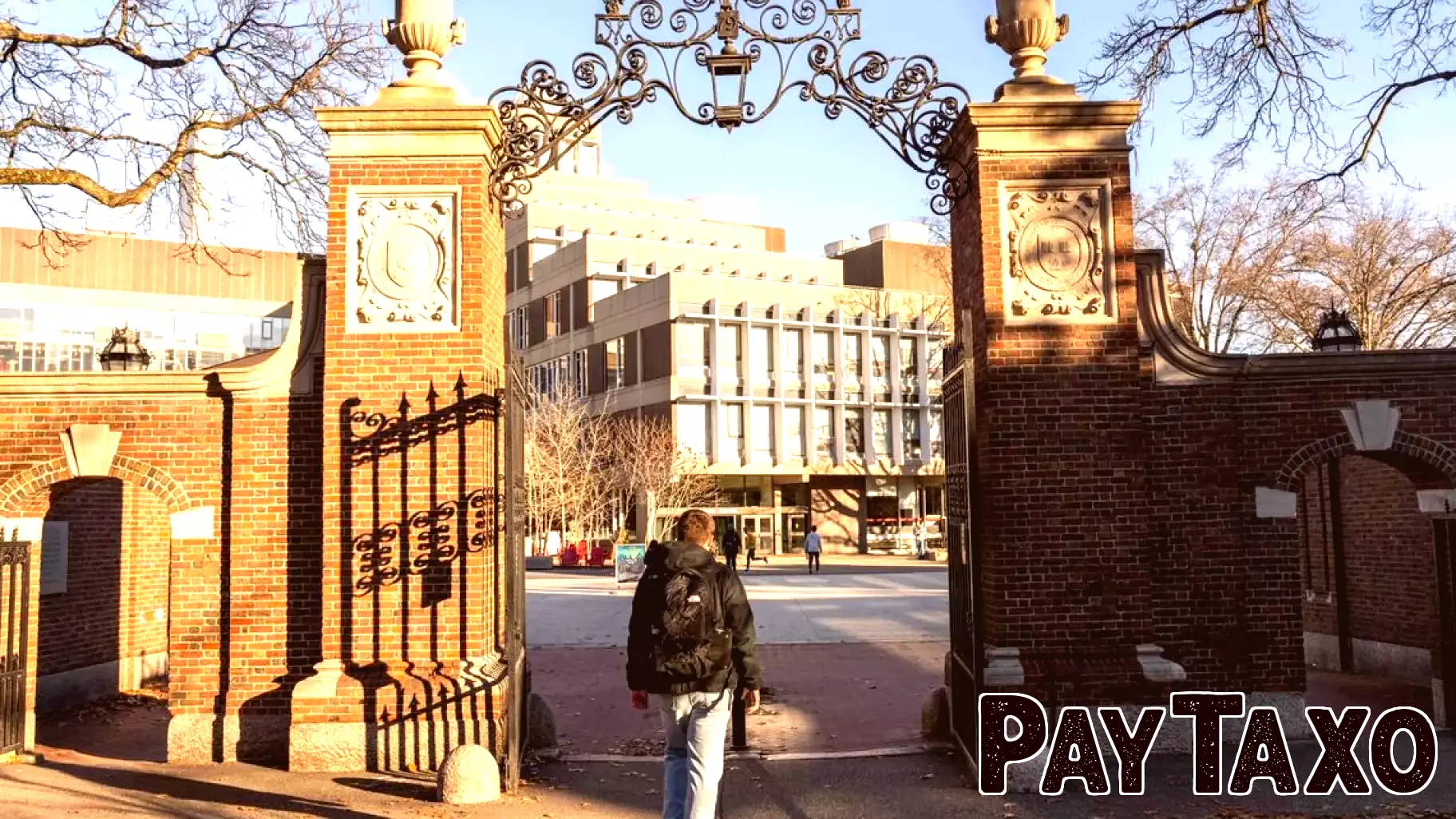 Harvard University Faces Unprecedented Financial Test Amid Trump Administration's Funding Cuts